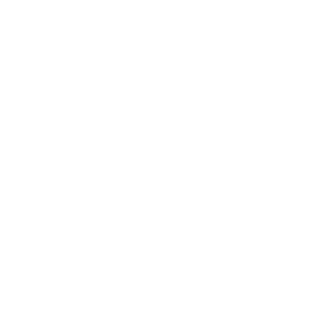 AOA Somalia logo