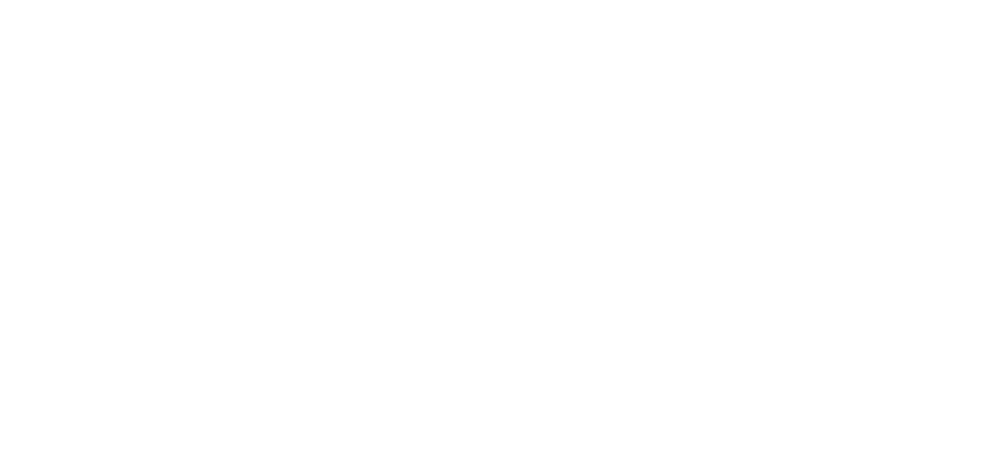 AOA Somalia logo